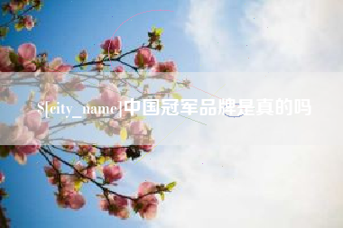 滁州中国冠军品牌是真的吗