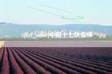 滁州中国十七块金牌