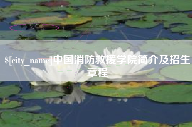 滁州中国消防救援学院简介及招生章程