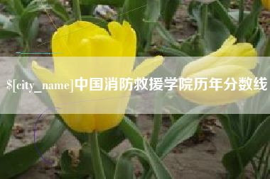 滁州中国消防救援学院历年分数线