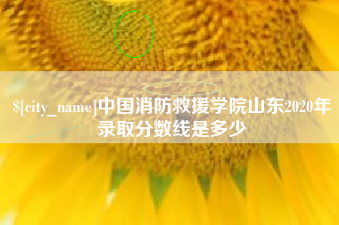 滁州中国消防救援学院山东2020年录取分数线是多少