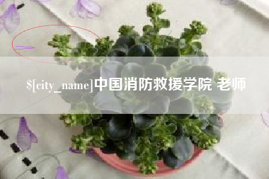 滁州中国消防救援学院 老师