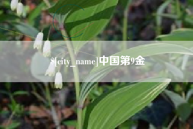 滁州中国第9金