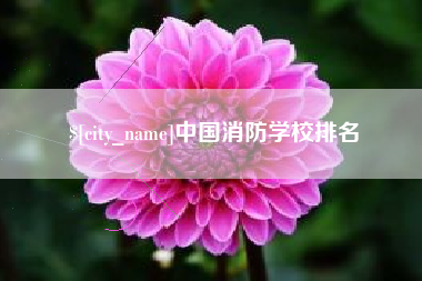 滁州中国消防学校排名