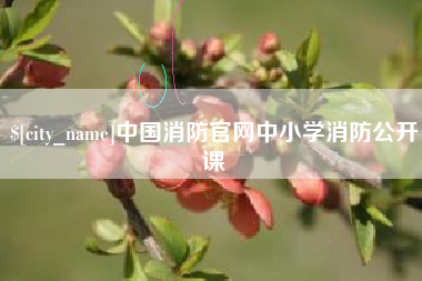 滁州中国消防官网中小学消防公开课
