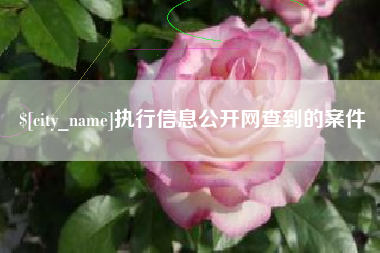 滁州执行信息公开网查到的案件
