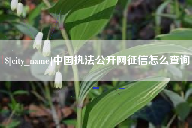 滁州中国执法公开网征信怎么查询