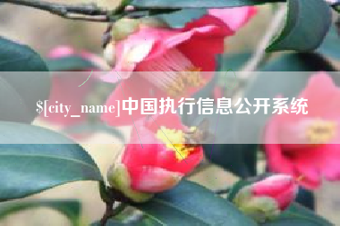 滁州中国执行信息公开系统