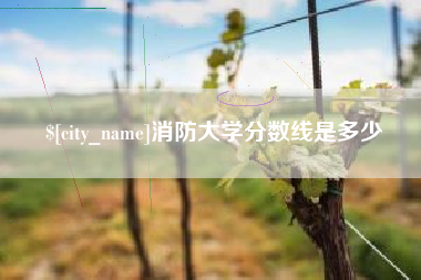 滁州消防大学分数线是多少