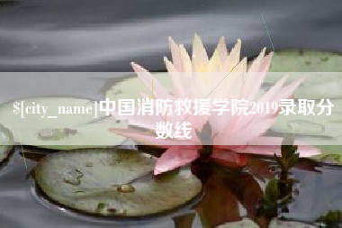 滁州中国消防救援学院2019录取分数线