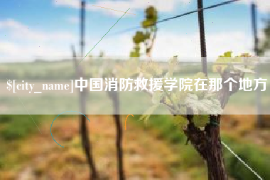 滁州中国消防救援学院在那个地方