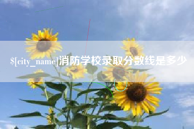 滁州消防学校录取分数线是多少
