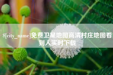 滁州免费卫星地图高清村庄地图看到人实时下载