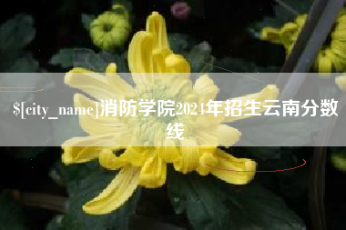 滁州消防学院2024年招生云南分数线