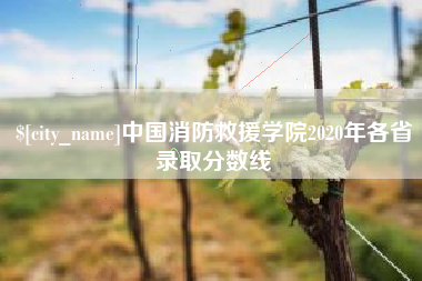 滁州中国消防救援学院2020年各省录取分数线
