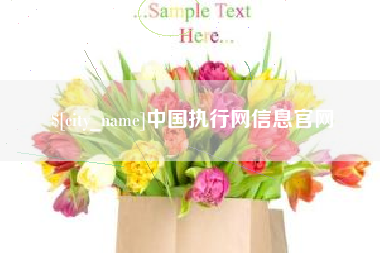 滁州中国执行网信息官网