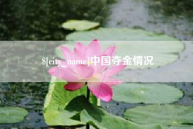 滁州中国夺金情况