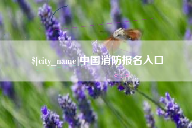 滁州中国消防报名入口