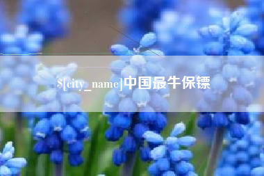 滁州中国最牛保镖