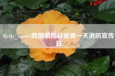 滁州我国消防日是哪一天消防宣传日