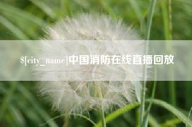 滁州中国消防在线直播回放