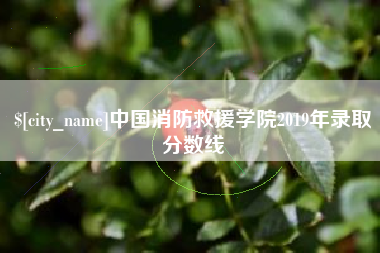滁州中国消防救援学院2019年录取分数线