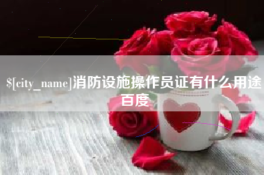 滁州消防设施操作员证有什么用途百度