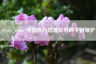 滁州中国执行信息公开网平台维护