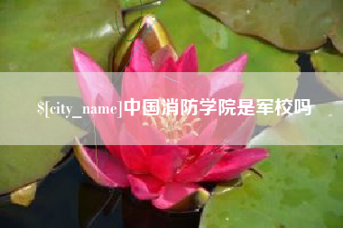 滁州中国消防学院是军校吗