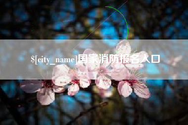 滁州国家消防报名入口