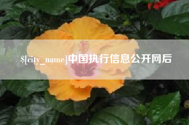 滁州中国执行信息公开网后