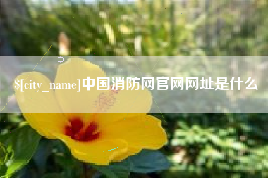 滁州中国消防网官网网址是什么