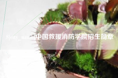 滁州中国救援消防学院招生简章