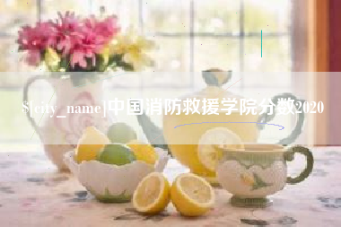 滁州中国消防救援学院分数2020