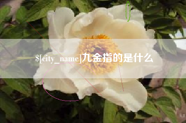 滁州九金指的是什么