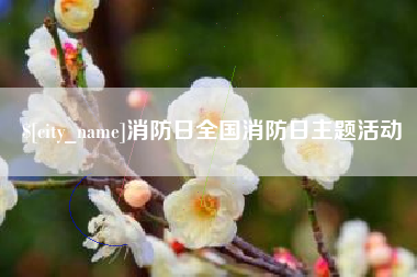 滁州消防日全国消防日主题活动