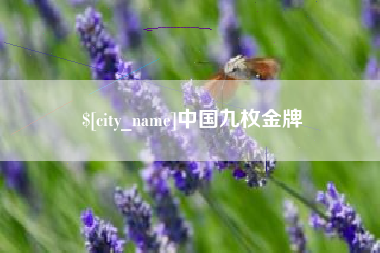 滁州中国九枚金牌