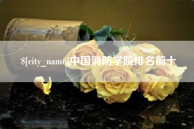 滁州中国消防学院排名前十
