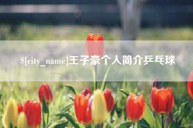 滁州王子豪个人简介乒乓球