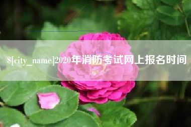 滁州2020年消防考试网上报名时间