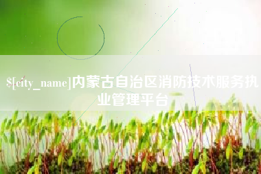 滁州内蒙古自治区消防技术服务执业管理平台