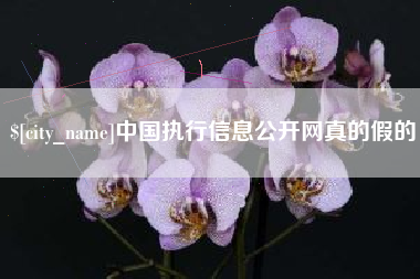 滁州中国执行信息公开网真的假的