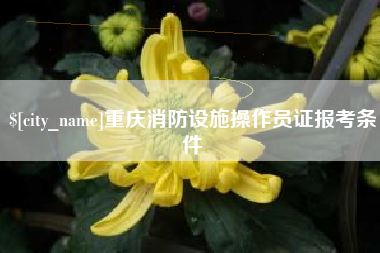 滁州重庆消防设施操作员证报考条件