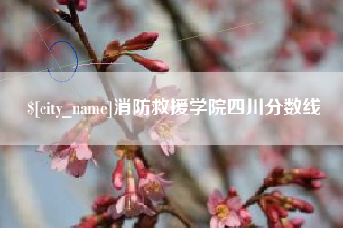 滁州消防救援学院四川分数线