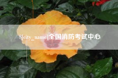 滁州全国消防考试中心