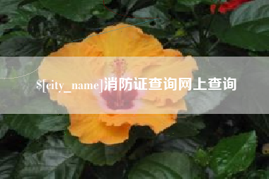 滁州消防证查询网上查询