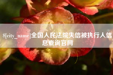 滁州全国人民法院失信被执行人信息查询官网