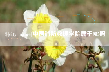 滁州中国消防救援学院属于985吗