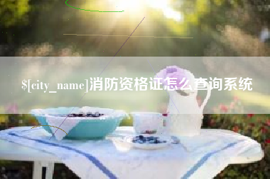 滁州消防资格证怎么查询系统