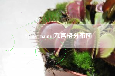滁州九宫格分布图